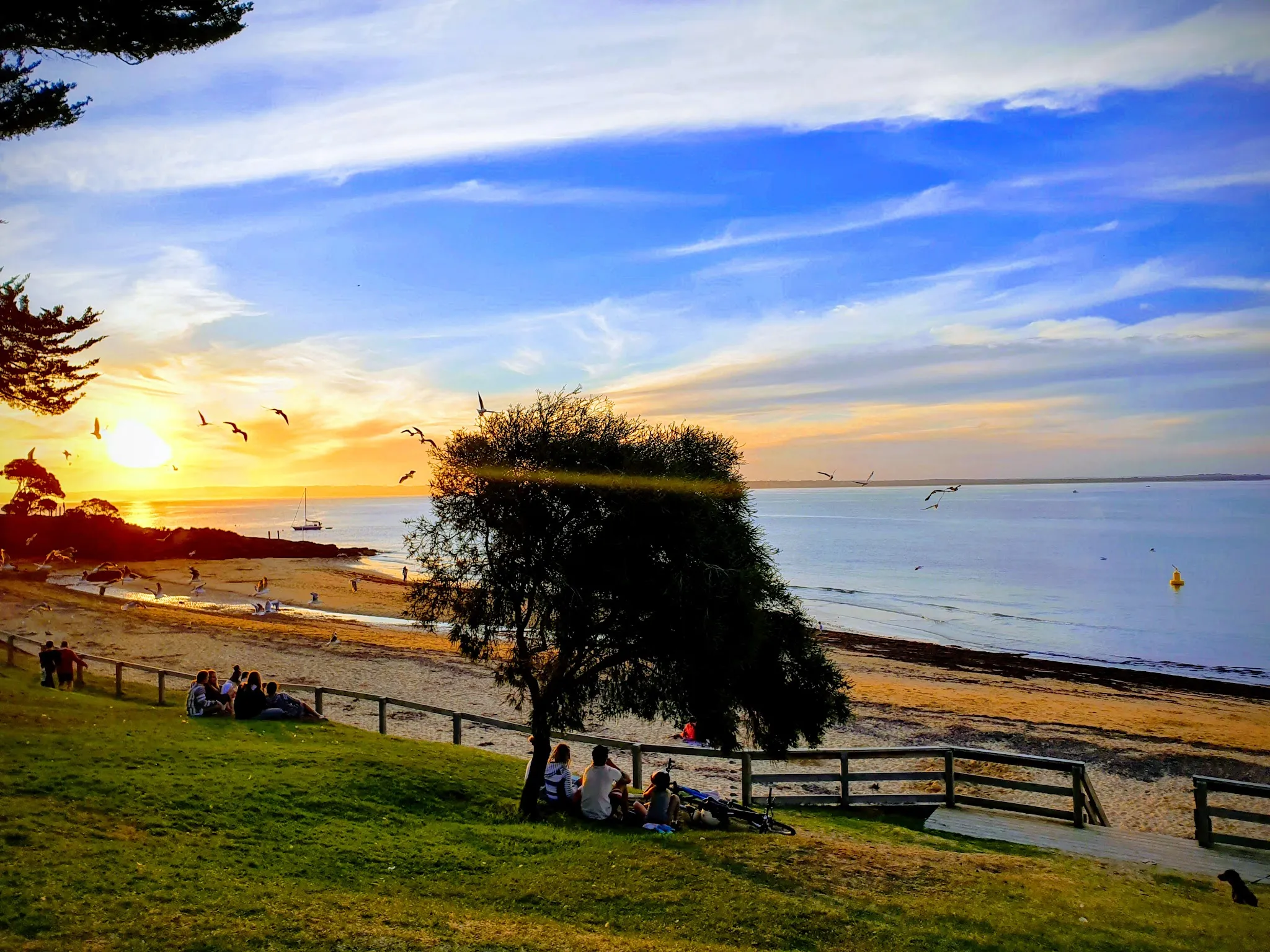 Golden sunset over Cowes beach Phillip Island with tree silhouette and people relaxing on the shore
