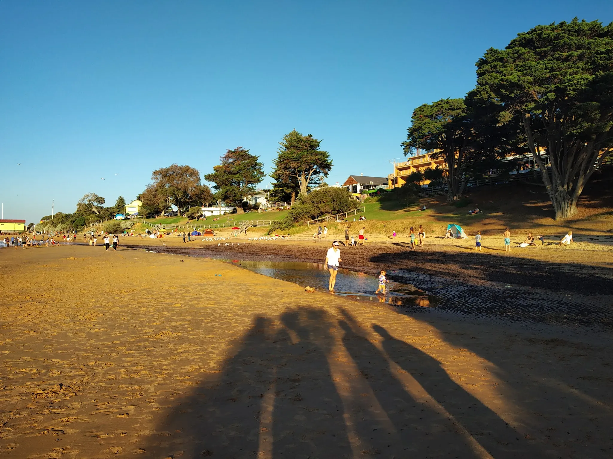 Golden afternoon light on Cowes beach with families and long tree shadows on the sand